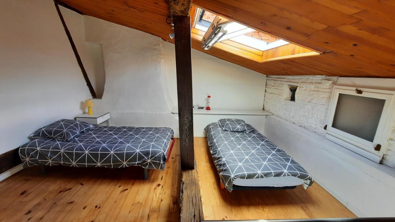 Appartement Promo24-31Mai 4Personnes Toulouse 15Mn 4 Lits Cuisine Sde Wc à Montastruc-la-Conseillère Extérieur photo